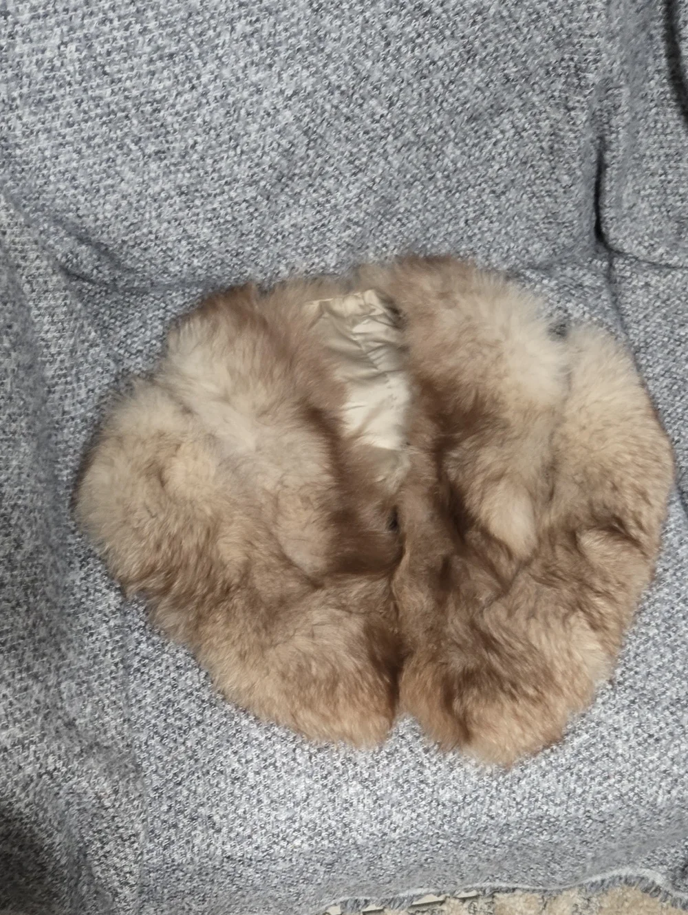 Plush Brown Fur Collar Wrap - Women Accessories